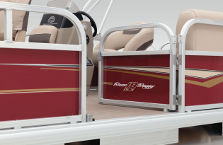 2021 BASS BUGGY 18 DLX Exclusive Auto Marine pontoon boat power boat