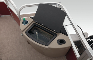 2021 BASS BUGGY 18 DLX Exclusive Auto Marine pontoon boat power boat