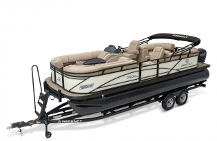 2022 Regency 230 DL3 Luxury pontoon power boat outboard motor