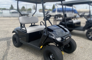 Tracker Tracker Off Road LS2 Exclusive Auto Marine Tracker Off Road Sport Cart Golf Cart