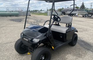 Tracker Tracker Off Road LS2 Exclusive Auto Marine Tracker Off Road Sport Cart Golf Cart
