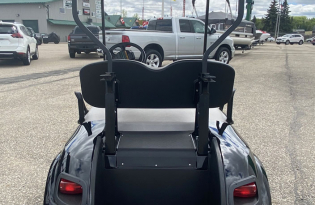 Tracker Tracker Off Road LS2 Exclusive Auto Marine Tracker Off Road Sport Cart Golf Cart