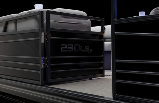 2022 Regency 230 LE3 Exclusive Auto Marine Luxury Pontoon power boat outboard motor